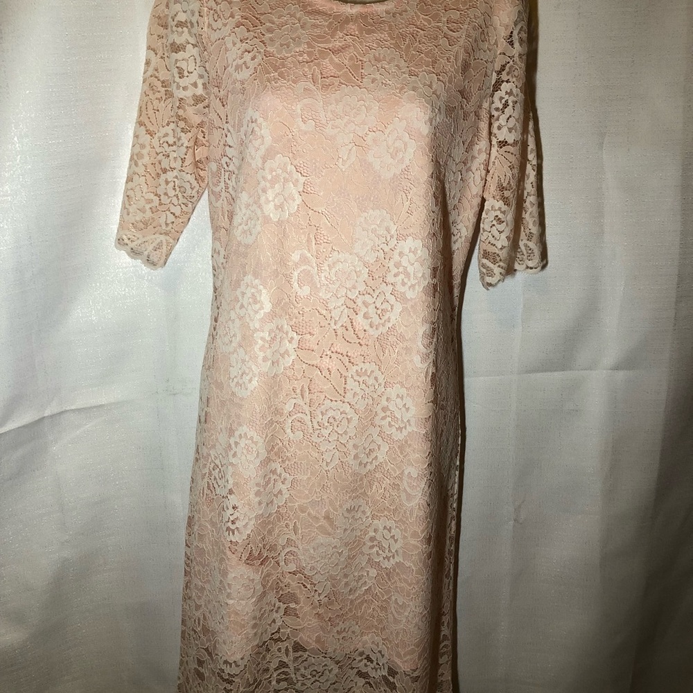 Lovely Blush Pink Lace Dress